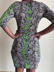 Load image into Gallery viewer, Shorty - Snakeskin Print Gray &amp; Green Dress
